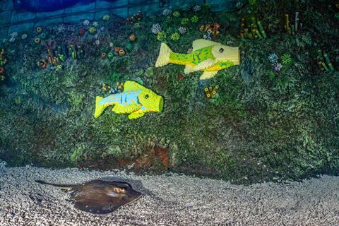 LEGO fish alongside a stingray